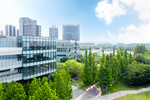 trees-by-road-against-buildings-in-city.jpg